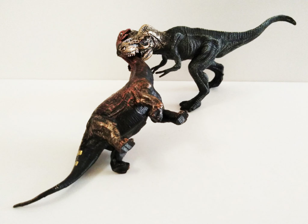 この１枚　弱肉強食1